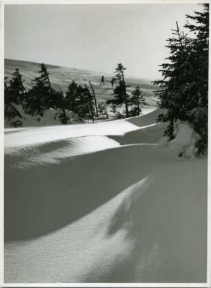 Winter am Feldberg