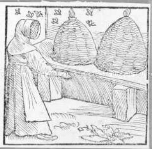 Imker mit Bienenkörben und Bienen (aus Münster/ Cosmographia)