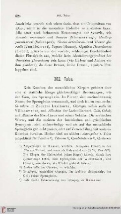 362. Talus – 390. Tympanum und Membrana tympani