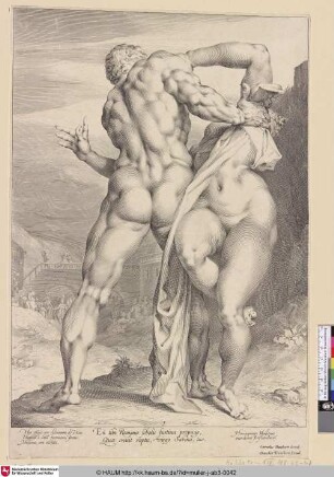 [Der Raub einer Sabinerin; The rape of a Sabine woman]