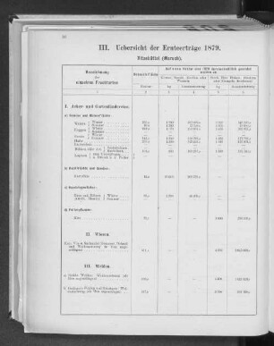 III. Uebersicht der Ernteerträge 1879. Ritzebüttel (Marsch).
