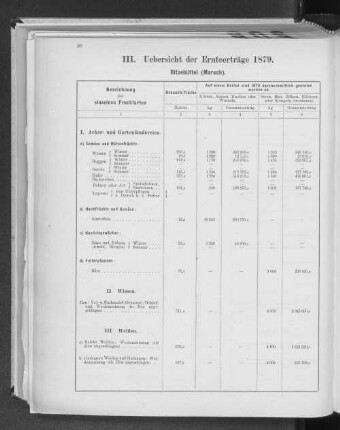 III. Uebersicht der Ernteerträge 1879. Ritzebüttel (Marsch).