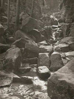 Harz. Steinerne Renne (Holtemmetal, südlich Wernigerode). Wasserfall. Große Steinblöcke im Flußbett