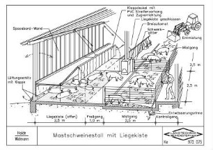 Mastschweinestall mit Liegekiste