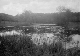 Schlosspark Wilhelmsthal