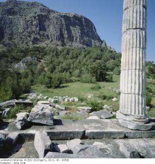 Türkei: Priene