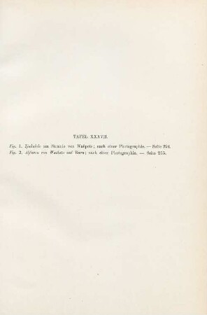 Tafel XXXVII. Fig. 1. Tjakalele am Strande von Waepote ; ... Fig. 2. Alfuren van Waelata auf Buru ; ...