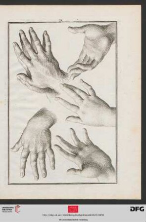 Taf. 38 [Handstudien (Schraffur)]