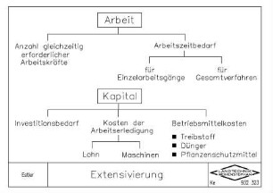 Extensivierung