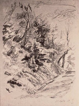 Waldweg