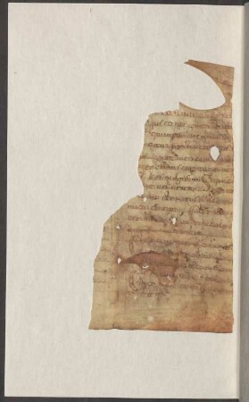 Collectio canonum - BSB Clm 29550(1