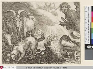 [Verkündigung an die Hirten; Annunciation to the shepherds]