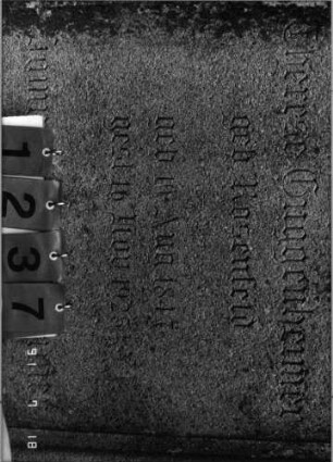 Grabstein 1237 [Hahn S. 82 Grab-Nr. 1891/92]: Grabstein 1237 (Detailaufnahme 1) [Hahn S. 82 Grab-Nr. 1891/92]