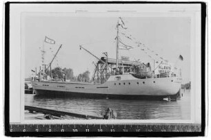 Tim S. (1957), Schepers & Co., Elsfleth
