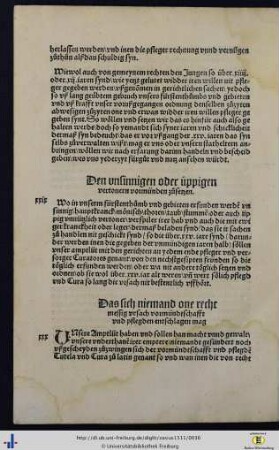XXIX. Den unsinnigen oder üppigen vertonern vormünden zusetzen.