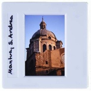 Mantua, S. Andrea : Kuppel