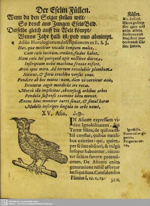 XV. Asio