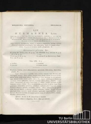 LIV. HERMANNIA. Linn. [lat.]