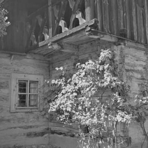 Strohgedecktes Blockhaus in Burg-Kolonie. : Ze słomu kryta kładźita chěža w Prizaŕskich Bórkowach.
