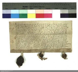 Heinrich, Dorothea und Eckhard von Bimbach verkaufen eine Wiese zwei Konventualen von Michaelsberg und den Marienaltar