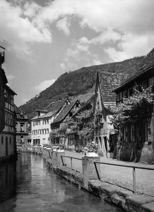 Annweiler am Trifels. Häuserzeile am Queichbach