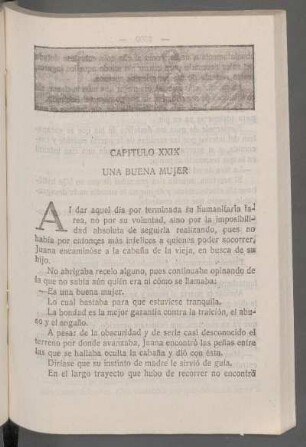 Capítulo XXIX - Una buena mujer