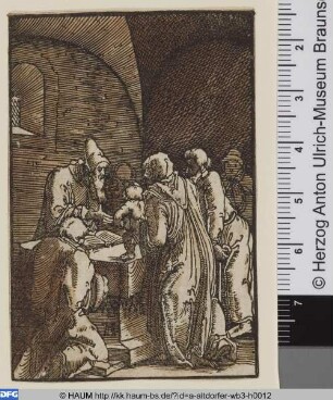 Darstellung im Tempel