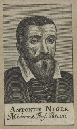 Bildnis des Antonius Niger