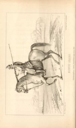 Mounted Akalee