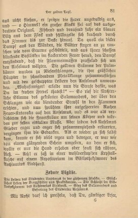 Zehnte Vigilie. Die Leiden des Studenten Anselmus in der gläsernen Flasche ...
