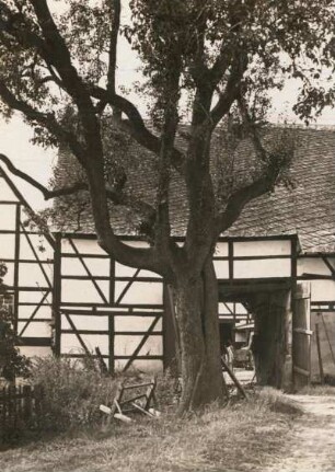 Waldheim-Gilsberg : Vierseithof, Einfahrt