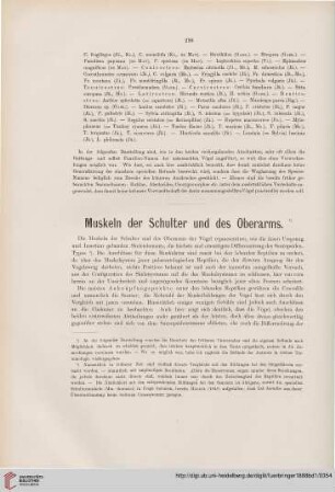 Muskeln der Schulter und des Oberarms