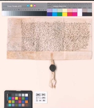 Gleicher Revers Gerts von Bodelschwingh