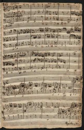 Jauchzet dem Herrn alle Welt; V (2), strings, org; C-Dur