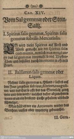 Cap. XIV. Vom Salgemmae oder Stein-Saltz.