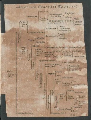 Anatome Corporis Theolog.
