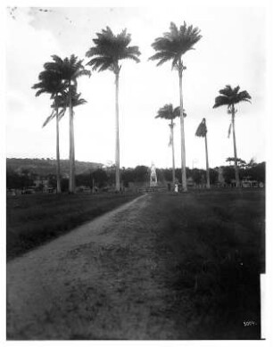 Fort de France, Martinique. La placa de la Sarane im Hafenviertel mit Jospehinenmonument (um 1910) unter Palmen