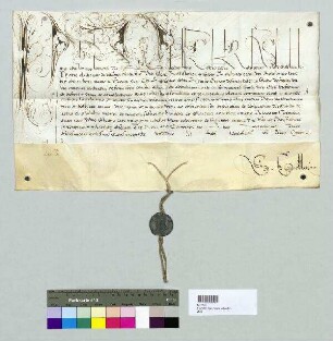 Papst Pius IV. bestätigt gegenüber dem Domkapitel Regensburg die Wahl des Veit von Fraunberg zum neuen Bischof von Regensburg. S: A