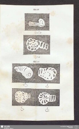 Tab. 34.