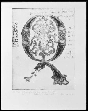 Lateinische Grammatik des Priscian, Ms. 59, folio ?, Initiale Q(uoniam)