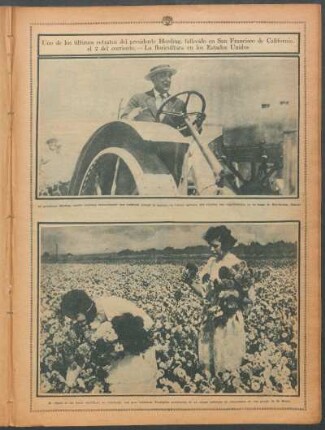 Uno de los últimos retratos del presidente Harding, fallecido en San Francisco de California, el 2 del corriente.- La floricultura en los Estados Unidos
