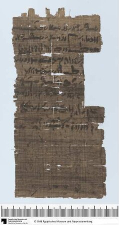 Demotischer Papyrus, Hochformatbrief