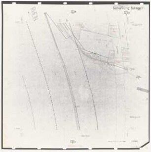 Landschaftsaufbauplanung Bellingen: Gemarkung Bellingen 1:1000