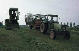 Fotografie: Futtererntetechnik, Silageernte, Feldhäcksler selbstfahrend, Pickup, Parallelverfahren, Ladewagen