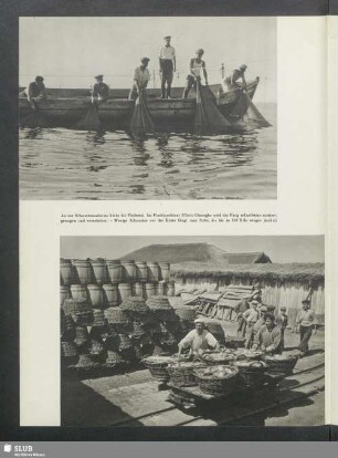 An der Schwarzmeerküste blüht die Fischerei