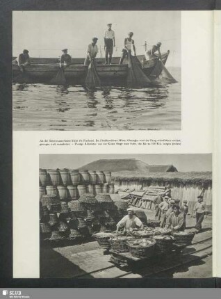 An der Schwarzmeerküste blüht die Fischerei
