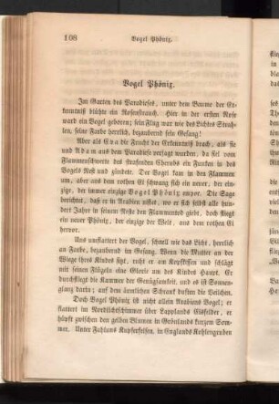 Vogel Phönix.