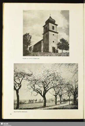Baumblüte bei Rützengrün