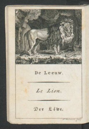 Tafel: De Leeuw. Le Lion. Der Löwe.