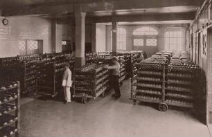 Dresden, Rosenstraße 99. Bäckerei der Dresdner Lebensmittelgesellschaft m.b.H., Kühlräume und Expedition für Backwaren